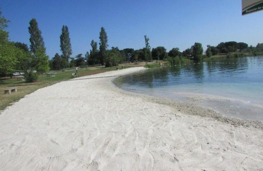 Signoret - Belle Maison Avec Piscine Villa Toulouse Eksteriør billede